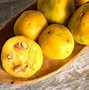 Image result for South American Fruits and Foods