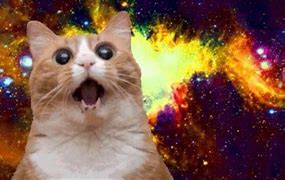 Image result for Cool Galaxy Cat Wallpapers