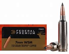 Image result for 7Mm Winchester Short Magnum