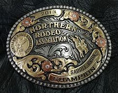 Image result for Rodeo Awards
