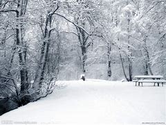 Image result for 雪景