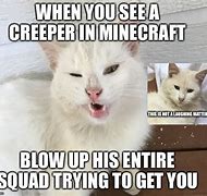 Image result for Creeper Cat Meme