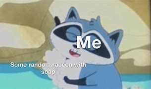 Image result for Soapy Raccoon Meme