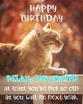 Image result for Happy Birthday Friend Funny
