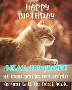 Image result for Funny Birthday