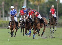 Image result for Polo League