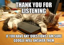 Image result for Any Questions Meme Cat