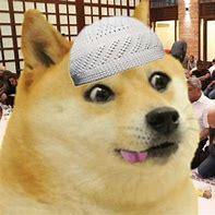 Image result for Sarcasting Doge Meme Template