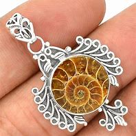 Image result for Fossil Jewelry
