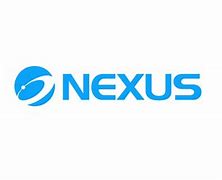 Image result for Blue Nexus Logo