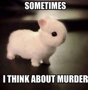 Image result for White Bunny Meme