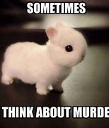 Image result for Cute Funny Bunny Memes