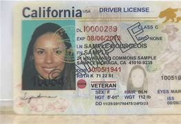 Image result for Real ID USA