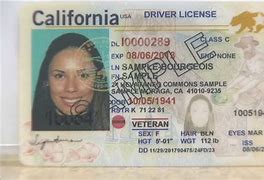 Image result for Real American ID