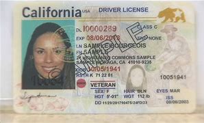 Image result for USA Real ID Card Pics