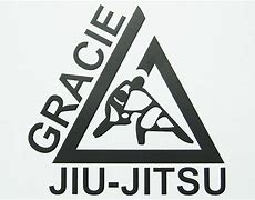 Image result for Gracie Jiu Jitsu Symbol