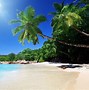 Image result for Caribbean Beach
