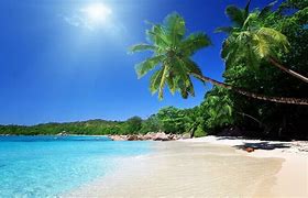 Image result for Caribbean Beach Desktop