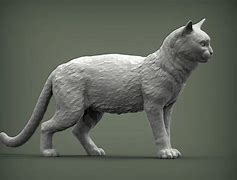 Image result for Cat Face 3D Print