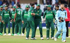 Image result for 2019 Cricket World Cup