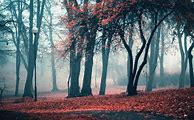Image result for Fall Preppy Backround