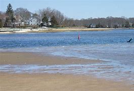 Image result for Peconic Bay Lot #4