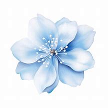 Image result for Blue Flowers Charger Protector