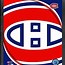 Image result for NHL Metallic Logo