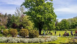 Image result for Novi Sad Parks