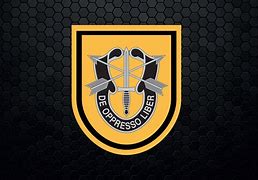 Image result for Special Forces Group 3 Logo