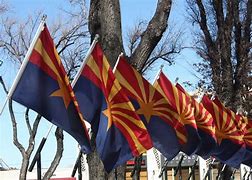Image result for Arizona State Icon