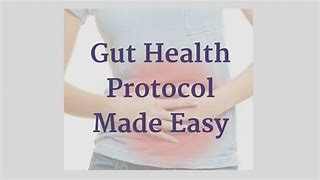 Image result for Gut Health Protocol