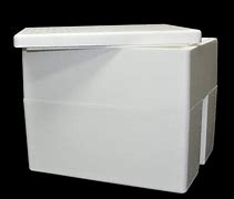 Image result for Tall Styrofoam Cooler