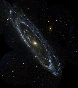 Image result for Galaxy Portrait