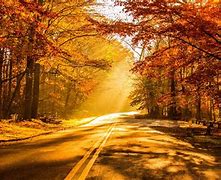 Image result for Autumn PC Wallpaper