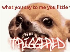 Image result for Jotchua Dog Meme