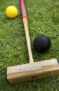 Image result for Extreme Croquet Wickets