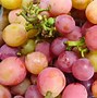 Image result for Japanese Grapes