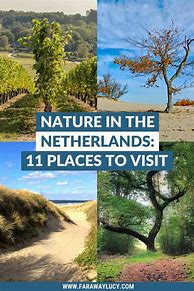 Image result for Netherlands Nature Boring