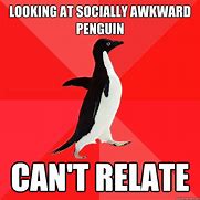 Image result for Awkward Penguin Meme
