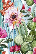 Image result for Cactus with Roses Wallpaper