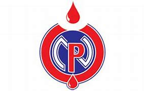 Image result for Nile Petroleum Corporation Logo