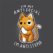 Image result for Anti Social Cat Meme Couch