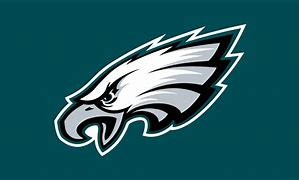 Image result for NFL Logo Facing Left
