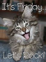 Image result for Cat Memes for Friday