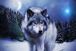 Image result for Cute Snow Wolf Wallpaper Galaxy