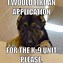 Image result for small dogs memes funniest