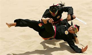 Image result for Silat Indonesian Martial Arts