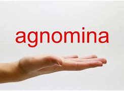 Image result for agnominzci�n