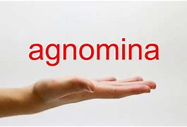 Image result for agnomimaci�n